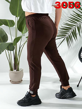 Штаны Спорт T.S.Eliot 3056 brown - делук