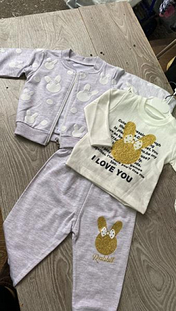 Костюм Спорт Proschenko PR704 grey - делук