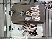 Футболка Sapato S76 brown - делук
