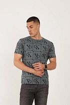 Футболка F.T.H F118 grey - делук