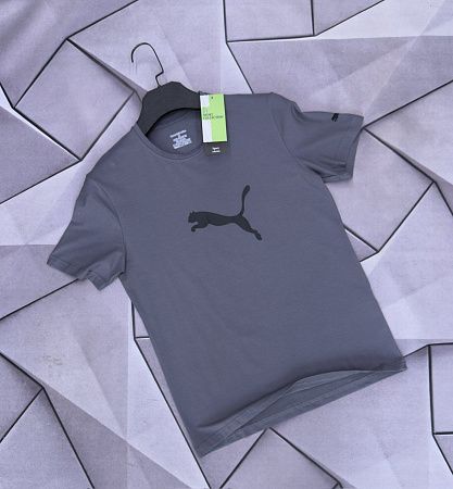 Футболка Rassul 6074 grey - делук