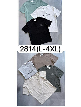 Футболка Ale-Ate 2814 mint - делук