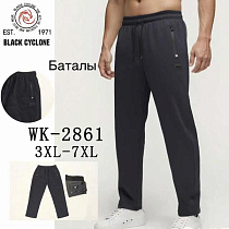Штаны Спорт Giang 2861 navy - делук