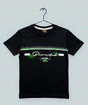 Футболка Dino DN86 black - делук