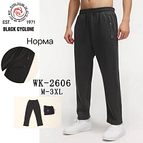 Штаны Спорт Giang G61-2606 grey - делук