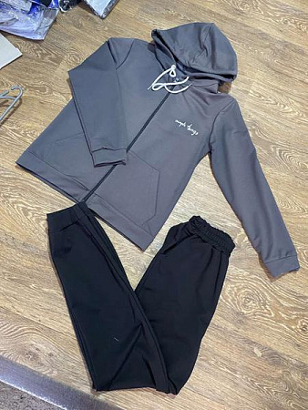 Костюм Спорт Proschenko PR829 grey - делук