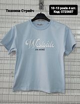 Футболка Amz 0725607 l.blue - делук