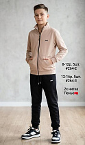 Костюм Спорт Amz 264-3 beige - делук
