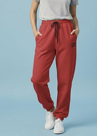 Штаны Спорт Zalov ZW1448 red - делук