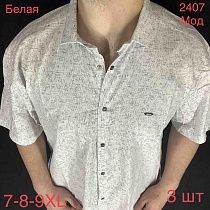 Рубашка No Brand 2407-3 white - делук