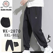 Штаны Спорт Giang 2870 d.grey - делук