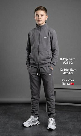 Костюм Спорт Amz 264-3 d.grey - делук