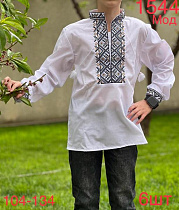 Вышиванка Надийка ND754-1544 white - делук