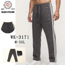 Штаны Спорт Giang 3171 black - делук