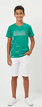 Футболка Malibu2 5680 green - делук