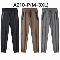 Штаны Спорт Liopt A210P black - делук