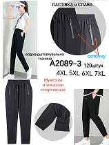 Штаны А2089-3 - делук