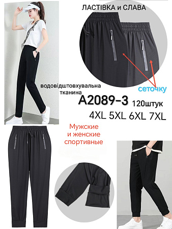 Штаны А2089-3 - делук