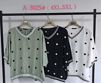 Футболка Saint Wish 3025 mix - делук