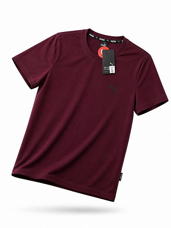 Футболка Alex Clothes 14421 wine - делук