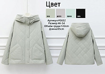 Куртка Jacket 5652 grey - делук