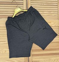 Шорты Sport Style 02 grey - делук
