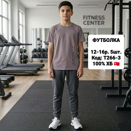 Футболка Ibambino T266-3 beige - делук