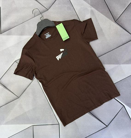 Футболка Rassul 66971 brown - делук