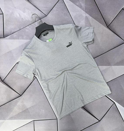 Футболка Rassul 67265 grey - делук