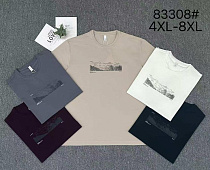 Футболка 2Bro 83308 grey - делук