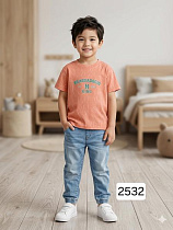 Футболка Фунтик 2532 orange - делук
