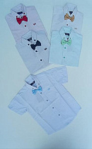 Рубашка Meloria 24-2000 wine - делук