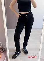 Штаны Спорт Fsn 6240 black - делук