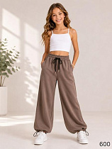 Штаны Спорт Loren 600 brown - делук