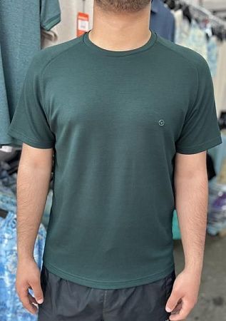 Футболка Vip Stendo 5710 green - делук