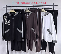 Костюм Спорт Saint Wish T2027 brown - делук