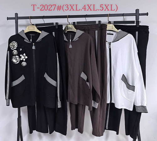 Костюм Спорт Saint Wish T2027 brown - делук