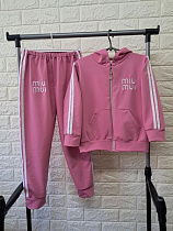 Костюм Спорт Proschenko PR462 pink - делук