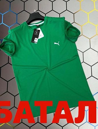 Футболка Alex Clothes 13945 green - делук