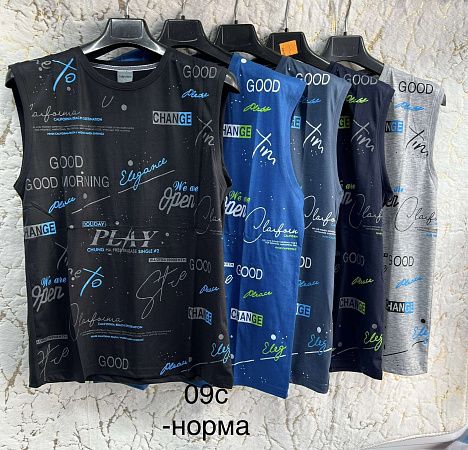 Футболка Hoan 09C mix - делук