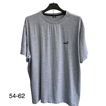 Футболка Tran TR810 grey - делук