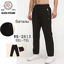 Штаны Спорт Giang G89-2613 grey - делук