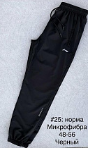 Штаны Спорт Shon 25 black - делук
