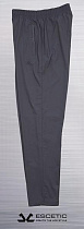 Спорт штаны  Azt AZ1125 grey - делук