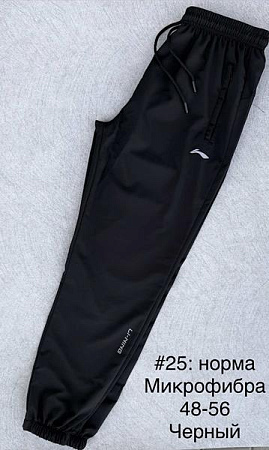 Штаны Спорт Shon 25 black - делук