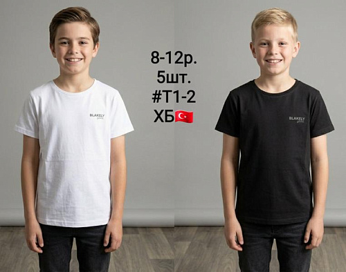 Футболка Amz T1-2 black - делук