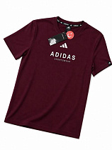Футболка Alex Clothes 14392 wine - делук