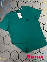 Футболка Alex Clothes 2597 green - делук