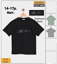 Футболка Amz 4252031 black - делук