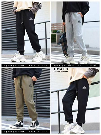 Штаны Спорт Delfinka 02616 grey - делук